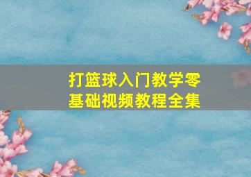 打篮球入门教学零基础视频教程全集