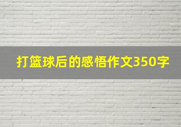 打篮球后的感悟作文350字