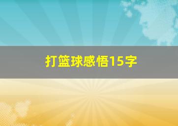 打篮球感悟15字