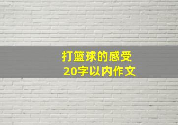 打篮球的感受20字以内作文