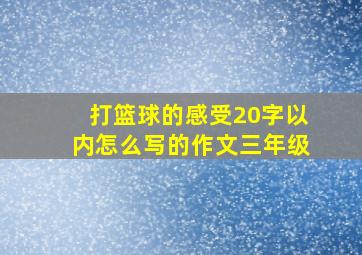 打篮球的感受20字以内怎么写的作文三年级