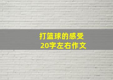 打篮球的感受20字左右作文