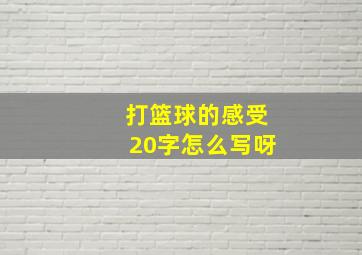 打篮球的感受20字怎么写呀