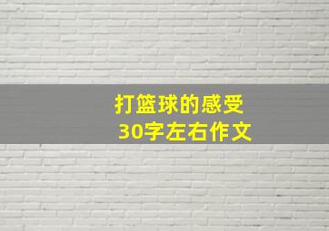 打篮球的感受30字左右作文