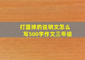 打篮球的说明文怎么写500字作文三年级