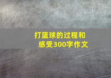 打篮球的过程和感受300字作文