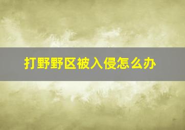 打野野区被入侵怎么办