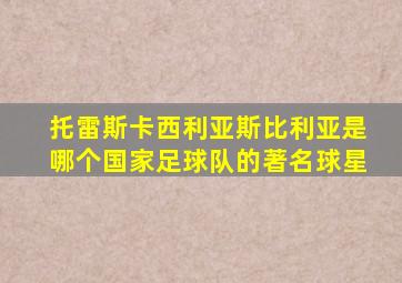 托雷斯卡西利亚斯比利亚是哪个国家足球队的著名球星