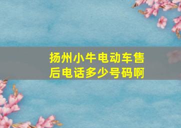 扬州小牛电动车售后电话多少号码啊