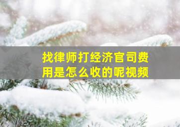 找律师打经济官司费用是怎么收的呢视频