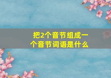 把2个音节组成一个音节词语是什么