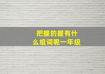 把握的握有什么组词呢一年级