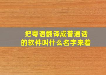 把粤语翻译成普通话的软件叫什么名字来着