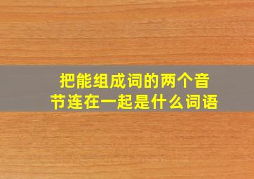 把能组成词的两个音节连在一起是什么词语