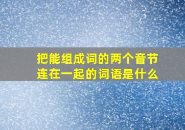 把能组成词的两个音节连在一起的词语是什么