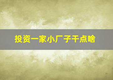 投资一家小厂子干点啥