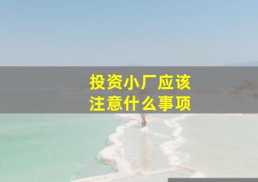 投资小厂应该注意什么事项