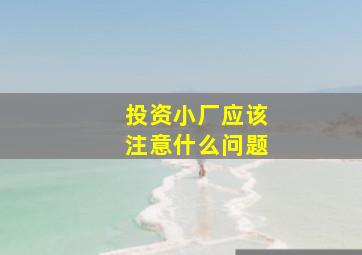 投资小厂应该注意什么问题