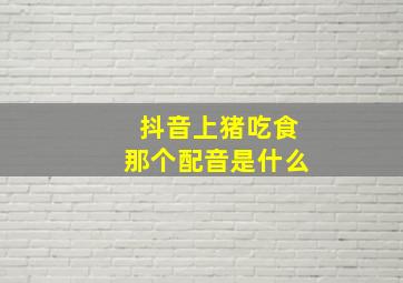 抖音上猪吃食那个配音是什么