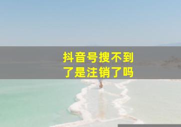 抖音号搜不到了是注销了吗