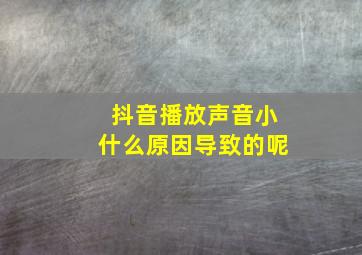 抖音播放声音小什么原因导致的呢