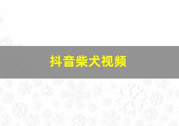 抖音柴犬视频