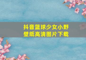 抖音篮球少女小野壁纸高清图片下载