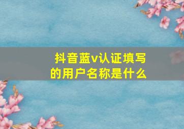 抖音蓝v认证填写的用户名称是什么