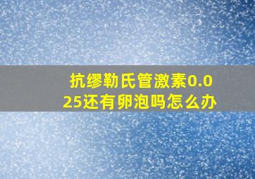 抗缪勒氏管激素0.025还有卵泡吗怎么办