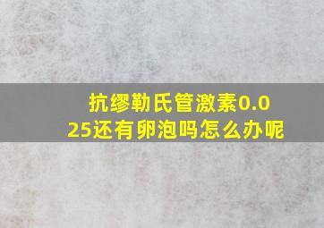 抗缪勒氏管激素0.025还有卵泡吗怎么办呢