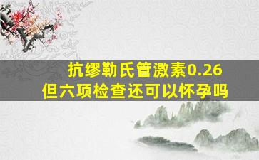 抗缪勒氏管激素0.26但六项检查还可以怀孕吗