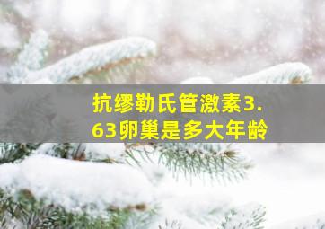 抗缪勒氏管激素3.63卵巢是多大年龄