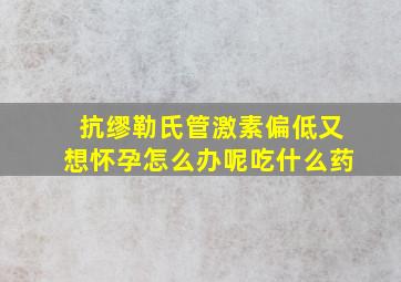 抗缪勒氏管激素偏低又想怀孕怎么办呢吃什么药