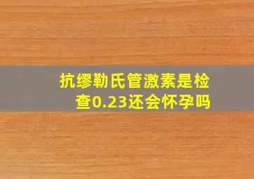 抗缪勒氏管激素是检查0.23还会怀孕吗