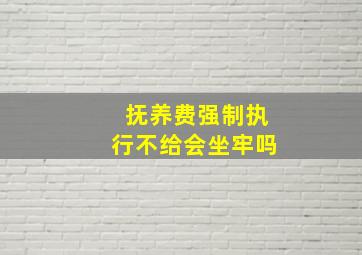 抚养费强制执行不给会坐牢吗