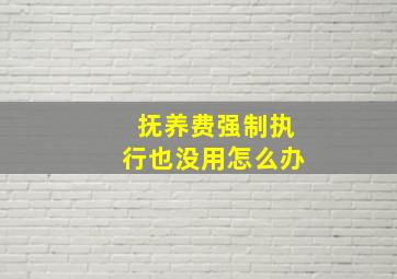 抚养费强制执行也没用怎么办