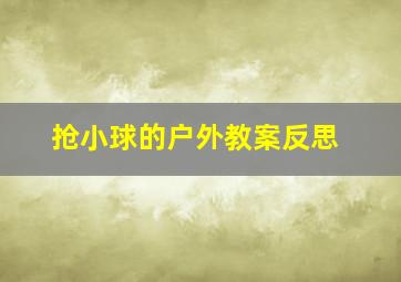 抢小球的户外教案反思