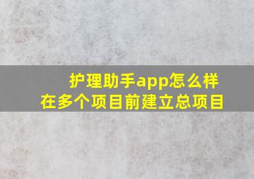 护理助手app怎么样在多个项目前建立总项目