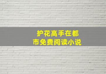 护花高手在都市免费阅读小说