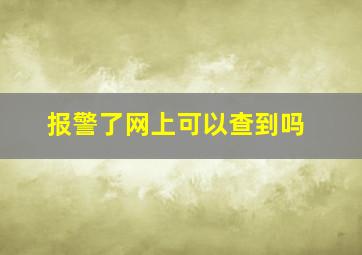 报警了网上可以查到吗