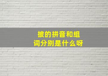 披的拼音和组词分别是什么呀