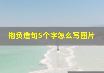 抱负造句5个字怎么写图片