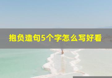 抱负造句5个字怎么写好看