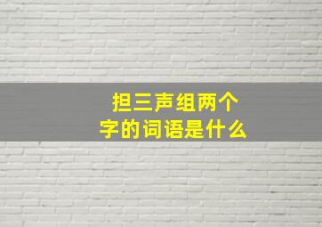 担三声组两个字的词语是什么