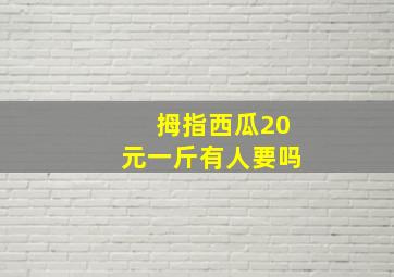 拇指西瓜20元一斤有人要吗