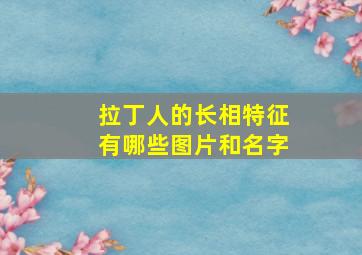 拉丁人的长相特征有哪些图片和名字