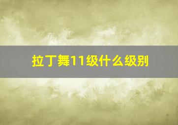 拉丁舞11级什么级别