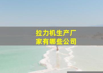 拉力机生产厂家有哪些公司