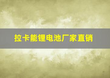 拉卡能锂电池厂家直销