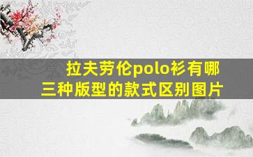 拉夫劳伦polo衫有哪三种版型的款式区别图片